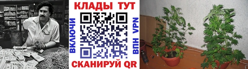 Где купить наркотики Ачхой-Мартан COCAIN  МЕФ  Гашиш  Каннабис 