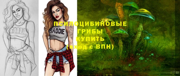 соль ск Лиски
