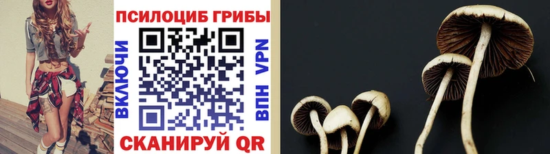 Галлюциногенные грибы Cubensis  Ачхой-Мартан 